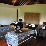 bali business for sale